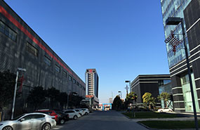 易游体育yy